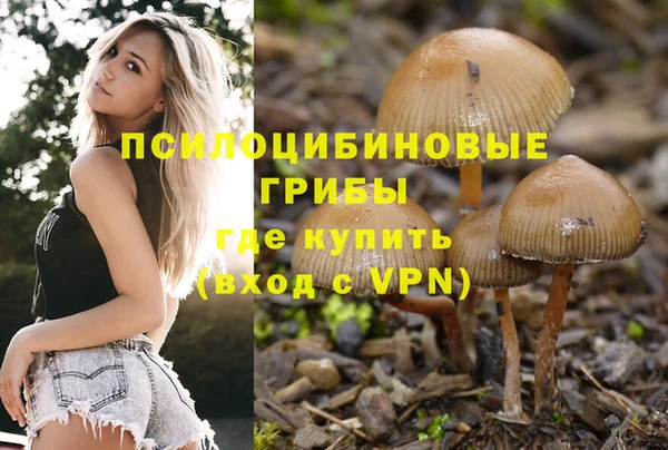 гашиш Кодинск