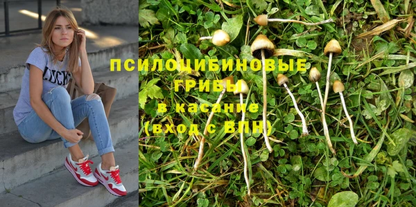 ECSTASY Козельск