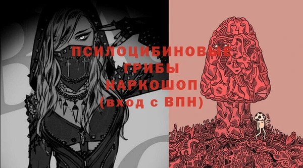 СК Козловка