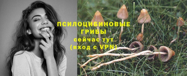 СК Козловка