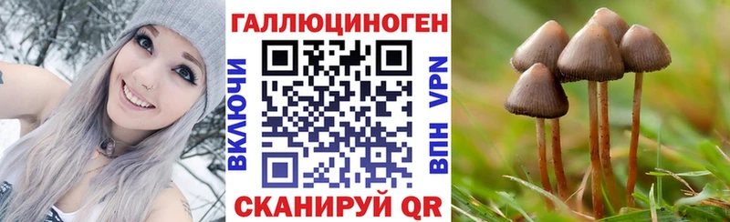 Псилоцибиновые грибы мухоморы  купить  цена  Чухлома 